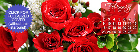 February 2014 Calendar Facebook Cover