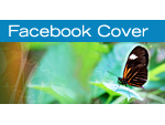 Butterfly Facebook Cover