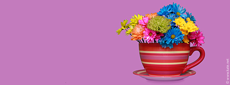 Flowers in a Teacup Facebook Cover
