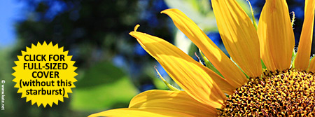Sunflower Facebook Cover