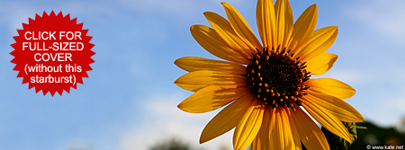 Sunflower in the Setting Sun Facebook Cover