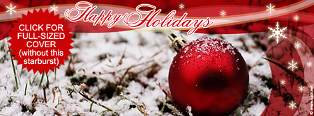 Happy Holidays Ornament in the Snow Facebook Cover