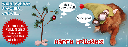 When Holiday Specials Collide Facebook Cover