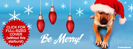 Be Merry Facebook Cover