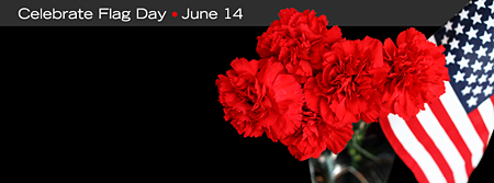 Flag Day Facebook Cover