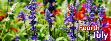 Fourth of July Flowers Facebook Cover