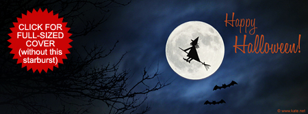 Halloween Witch Flying by the Moon Facebook Cover