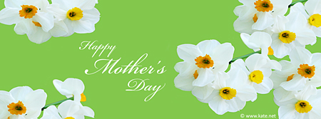 Happy Mother's Day - Daffodils Facebook Cover