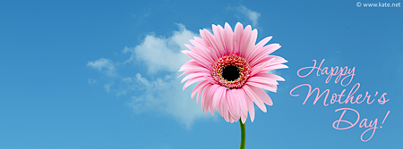 Happy Mother's Day - Pink Gerbera Daisy Facebook Cover