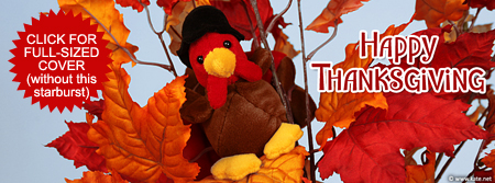 Turkey in Leaves Facebook Cover