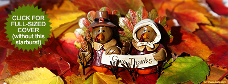 Give Thanks Turkeys Facebook Cover