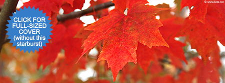 Red Fall Leaves Facebook Cover