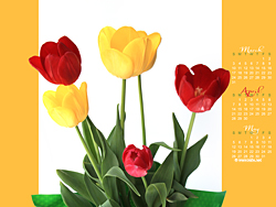 April Calendar Wallpaper