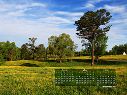 May Calendar Wallpaper