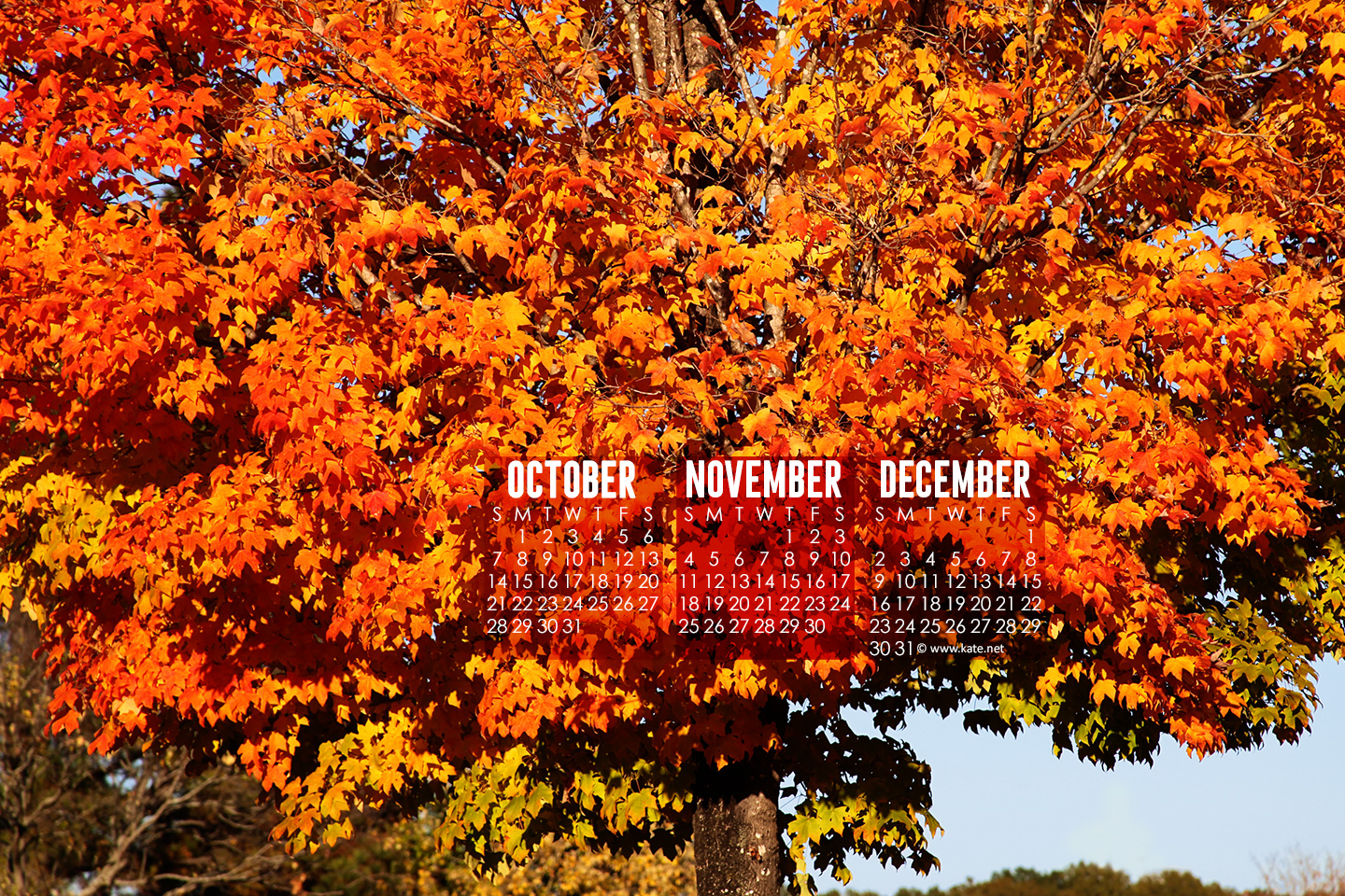 Calendar Wallpapers, Desktop Wallpapers by
