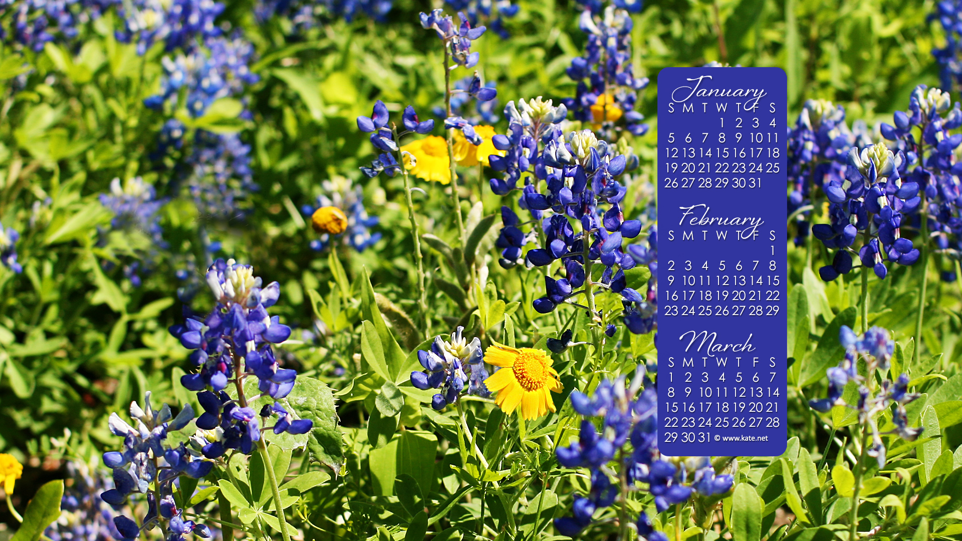 Calendar Wallpapers, Desktop Wallpapers by
