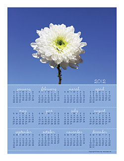 2012 Printable Calendar