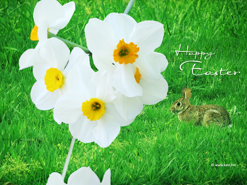 easter 2011 wallpaper. Easter 2011 Wallpapers