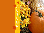 Autumn Wallpaper