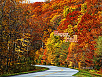 Fall Colors Wallpaper