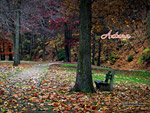 Autumn Day Wallpaper