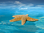 Summer Starfish Wallpaper