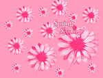 Spring Has Sprung Wallpaper