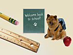 Welcome back to school wallpaper - Dog