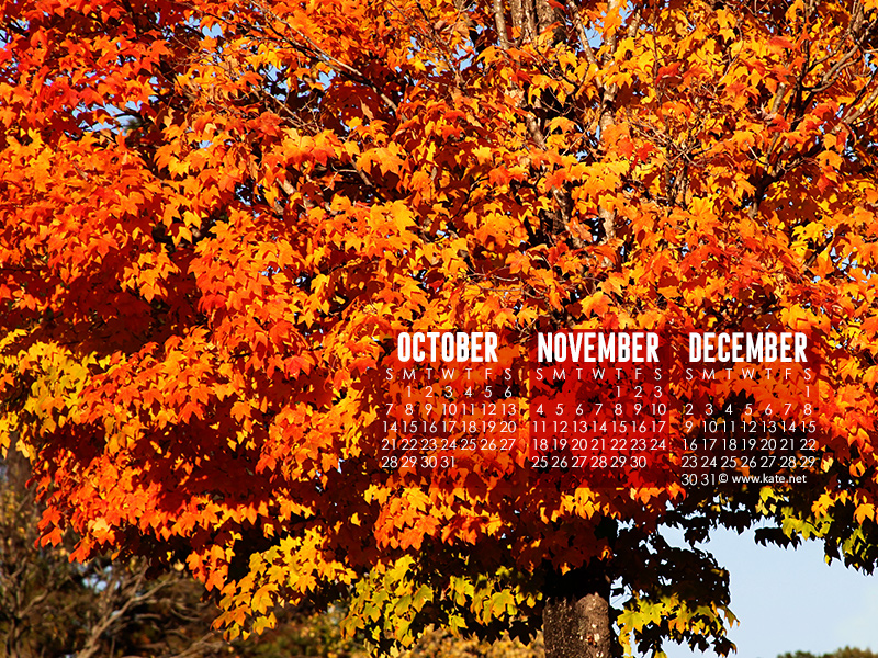 Calendar Wallpapers, Desktop Wallpapers by Kate.net