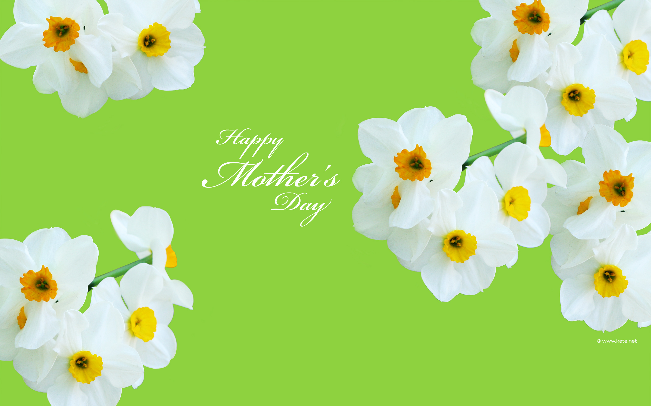 Free download mothers day flowers background Free Large Images [1280x800]  for your Desktop, Mobile & Tablet | Explore 50+ Mothers Day Wallpapers | Free  Mothers Day Wallpaper, Happy Mothers Day Wallpaper, Mother's