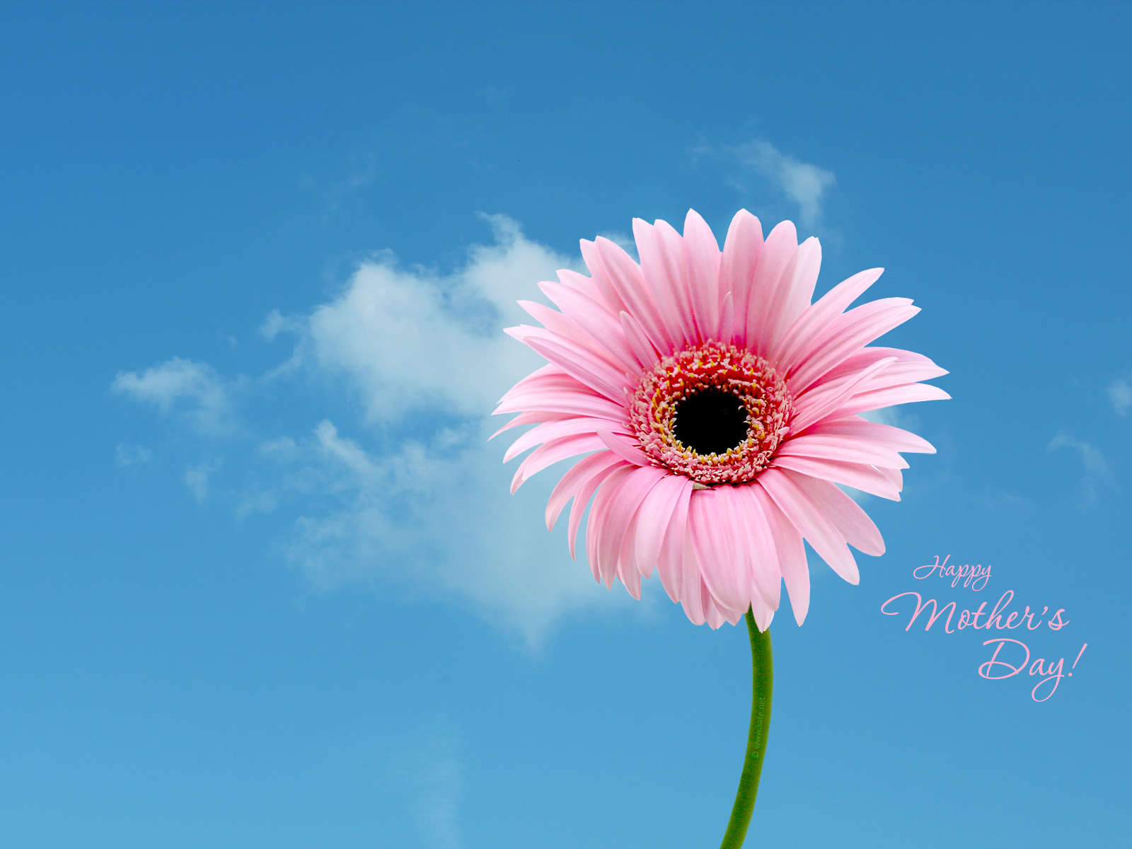 Mother's Day Wallpapers, Printable Mother's Day Cards by 